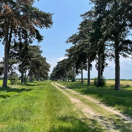 Apartamento Szilvia